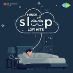 Sanam Hindi Lofi - Jeet Gannguli Song Download